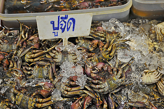海洋,蟹肉,冰,市场货摊,曼谷,泰国