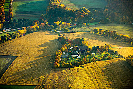 宅邸,农场,中间,庄稼地,鲁尔区,北莱茵威斯特伐利亚,德国