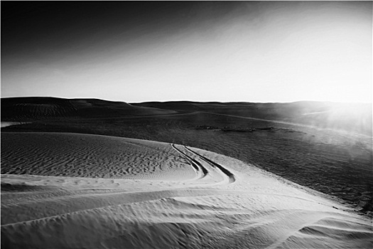 痕迹,撒哈拉沙漠,黑白