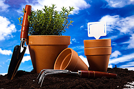 园艺,概念,工作,工具,农作物