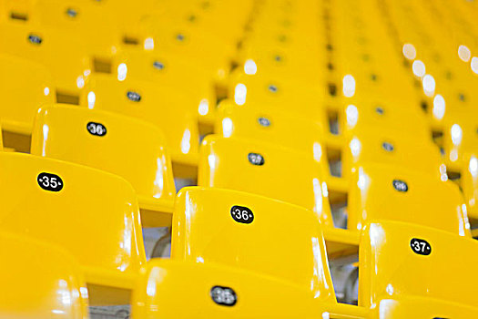 黄色,体育场看台