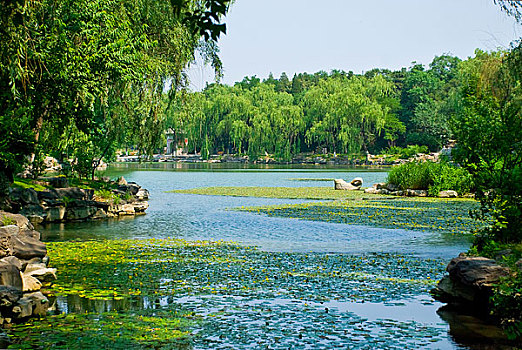 北京大学未名湖及湖中的翻尾石鱼