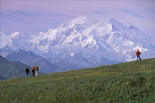 远足者,麦金立山,山脊,德纳里国家公园,夏天