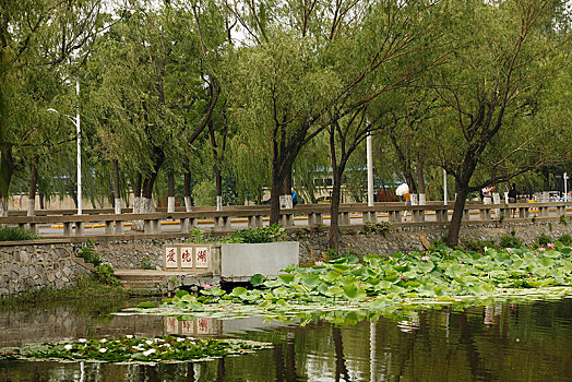 天津,天津大学