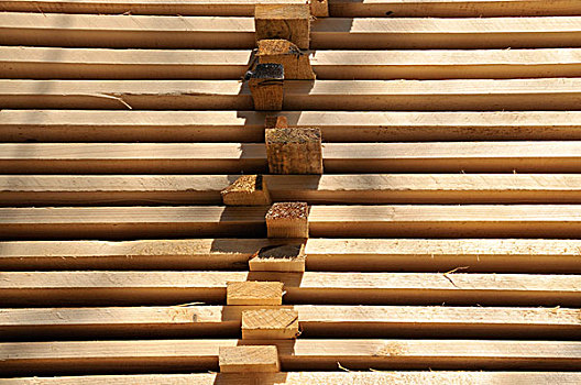 一堆,木板,木材,工厂