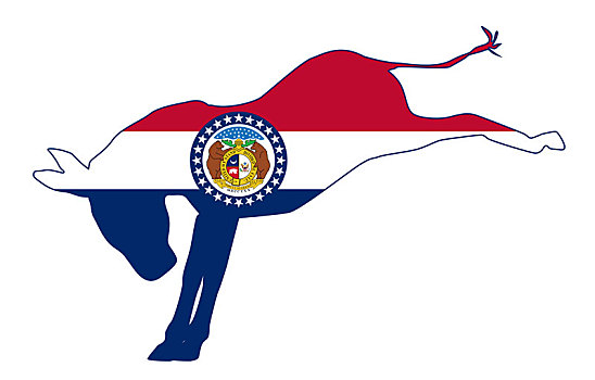 密苏里,民主党,驴,旗帜