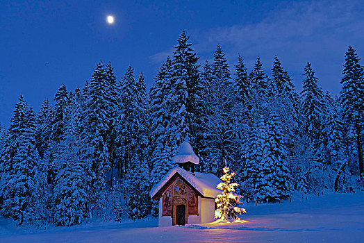 光亮,圣诞树,小教堂,冬天,风景,巴伐利亚,德国