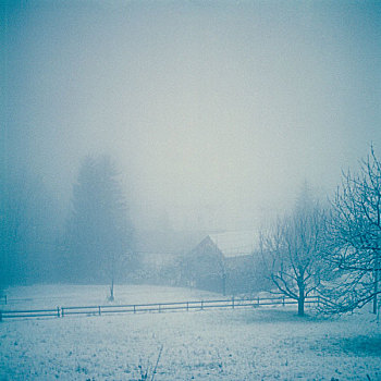 雾状,雪,风景,黃昏,房子,栅栏,树