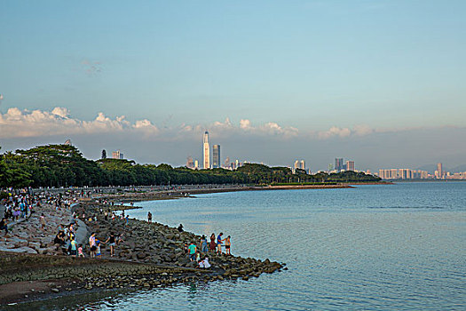 深圳市深圳湾公园