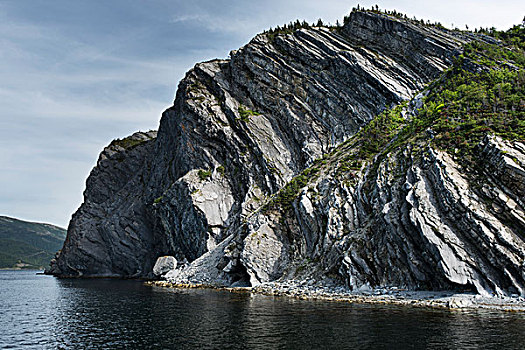 崎岖,悬崖,纽芬兰,拉布拉多犬,加拿大