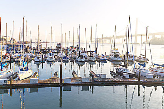 帆船,平和,水,湾,旧金山