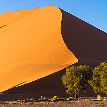 沙丘,纳米比亚,非洲
