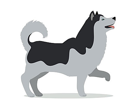 爱斯基摩犬,站立,白色背景,背景,黑白,狗,象征,标识,矢量,插画,风格,侧面视角,西伯利亚,哈士奇犬,设计,卡通,宠物