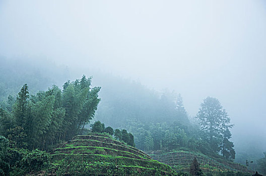 雨雾山景