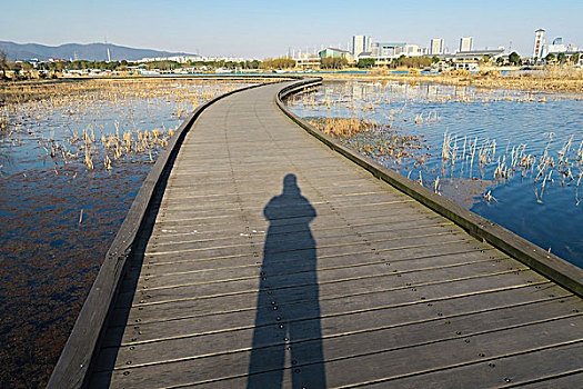 蠡湖湿地