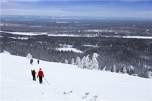 群体,远足,雪,冬天,山,芬兰