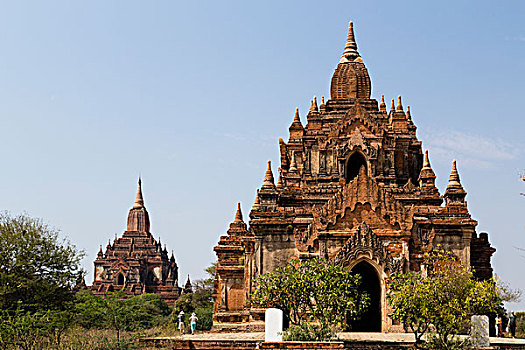 一个,庙宇,蒲甘,缅甸,亚洲