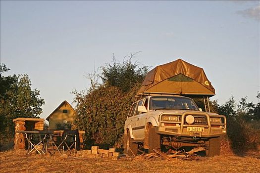 丰田,陆地,四驱车,帐蓬,装载,屋顶,营地,乔贝国家公园,博茨瓦纳,非洲