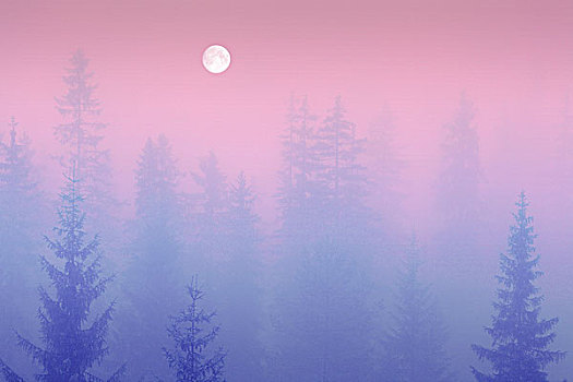 树林,雾,满月