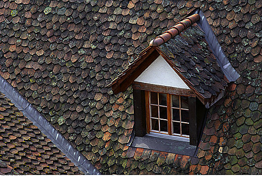 特写,屋顶,窗户,伯恩,瑞士