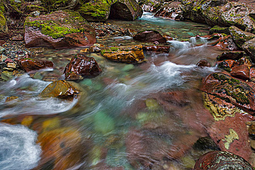 彩色,石头,线条,溪流,冰川国家公园,蒙大拿,美国