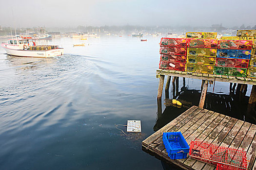 捕虾器,船,晨雾,韩国,缅因