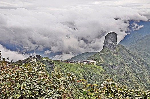 梵净山,佛教圣地,黔金丝猴