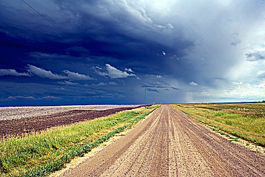 雷雨,上方,道路,毛茛属植物,渡轮,艾伯塔省,加拿大,云,天气