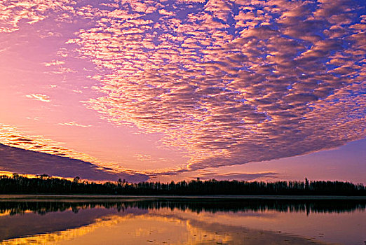 日出,兴趣,云体,小,湿地,区域,靠近,安大略省,加拿大