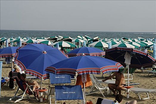 伞,遮阳伞,亚得里亚海,海岸,靠近,威尼托,意大利