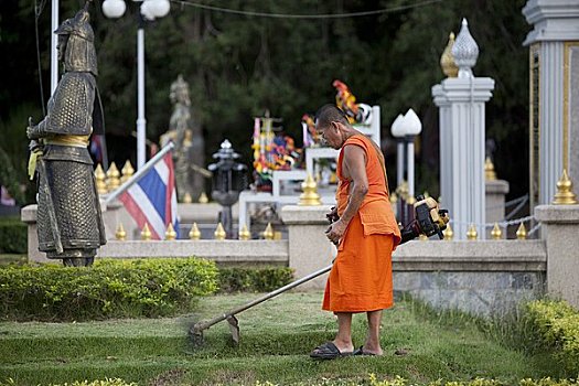 曼谷,泰国,僧侣,修整,草,庙宇