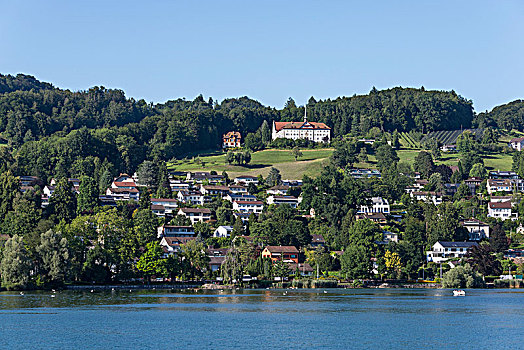 风景,桨轮船,琉森湖,卢塞恩市,瑞士