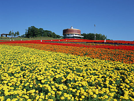 山,花园