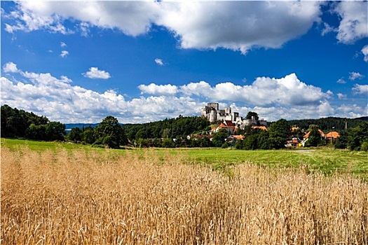 捷克共和国,夏天,风景,中世纪,石头,城堡,遗址