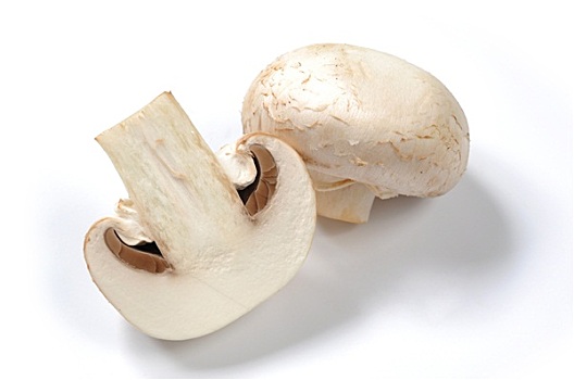 蘑菇,隔绝