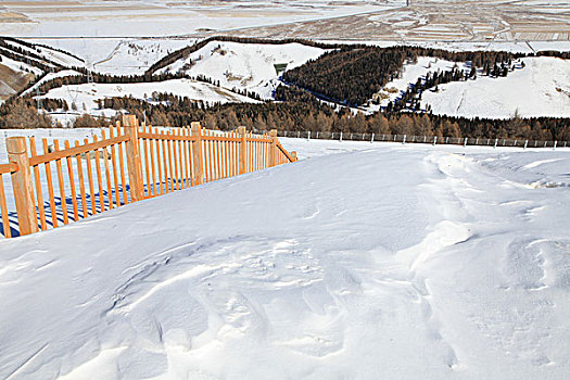 天山雪韵