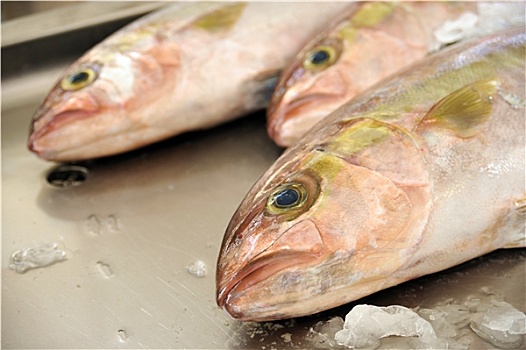 新鲜,红鲷鱼,市场,马德拉岛,葡萄牙
