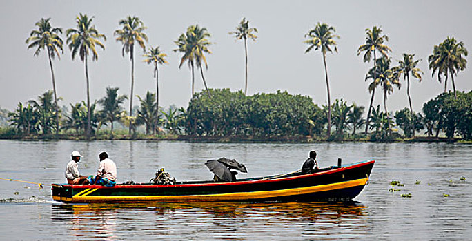 小,渡轮,运河,正面,棕榈树,树,喀拉拉,印度,亚洲