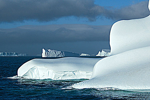 冰山,南,奥克尼群岛,南极