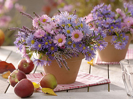 小,秋季花束,紫苑属
