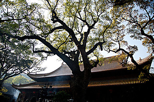 普陀山普济寺