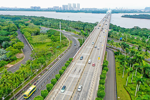 航拍海南海口国兴大道与滨江路道路街景,椰子树棕榈树等热带植物行道树