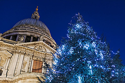 英格兰,伦敦,城市,圣保罗大教堂,圣诞树