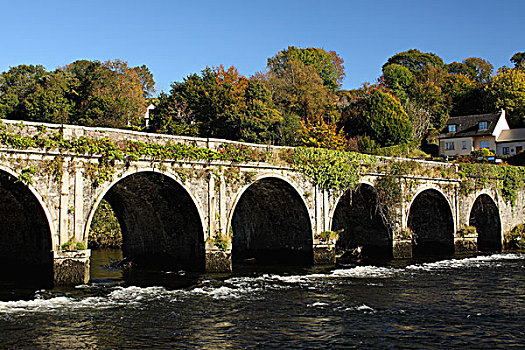 石桥,上方,河,基尔肯尼郡,爱尔兰