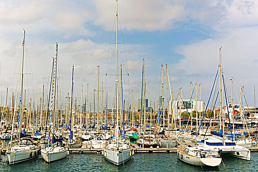奢华,船,贝尔港,巴塞罗那,加泰罗尼亚,西班牙
