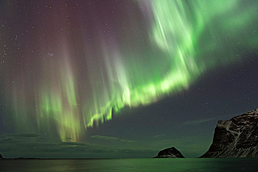 北极光,海岸,靠近,罗弗敦群岛,挪威,欧洲