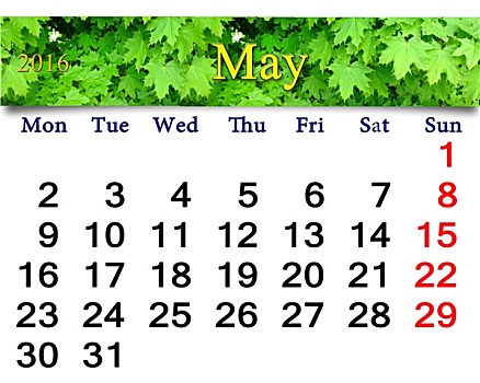 日程,五月,图像,枫树