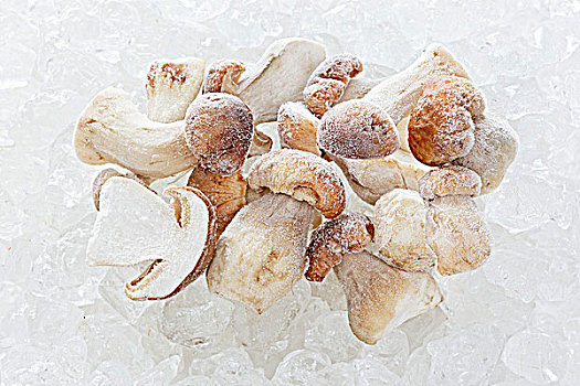 冰冻,牛肝菌,蘑菇