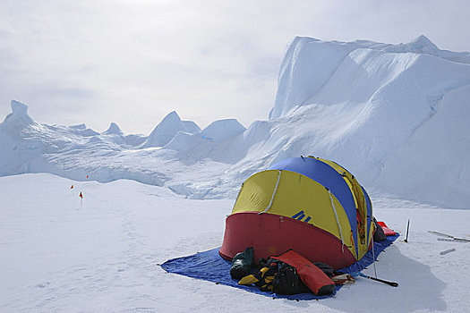 南极,风景,探险,帐蓬,红色,雪丘岛,半岛