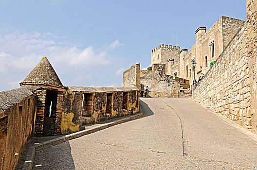 城堡,酒店,托尔托萨,塔拉戈纳省,加泰罗尼亚,西班牙,欧洲